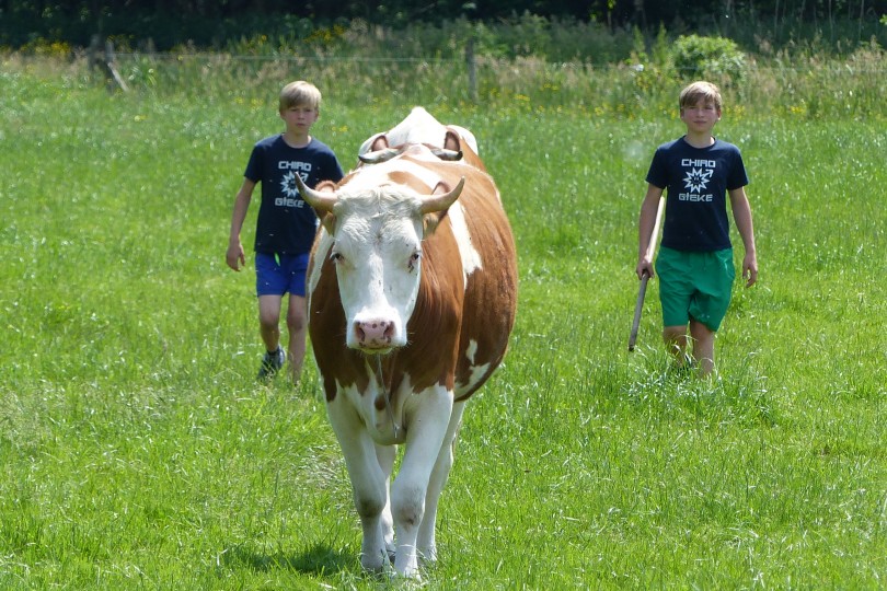 Dobbelhoeve wandelparadijs