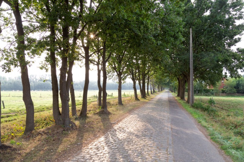 Wandelparadijs rond de Dobbelhoeve Wandelparadijs rond de Dobbelhoeve
